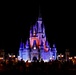 2024 DoD Warrior Games athletes wish upon a star at Disney World's Magic Kingdom