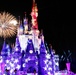 2024 DoD Warrior Games athletes wish upon a star at Disney World's Magic Kingdom