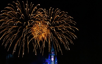 2024 DoD Warrior Games athletes wish upon a star at Disney World's Magic Kingdom