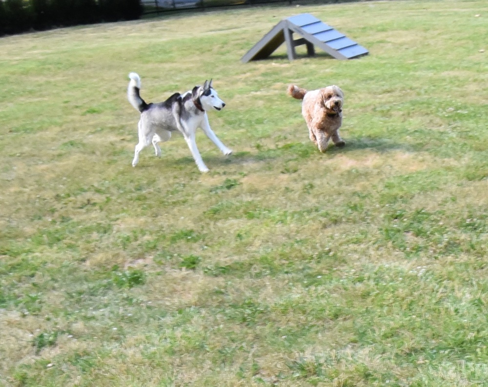 Ft Hamilton Community Dedicates New Installation Dog Park