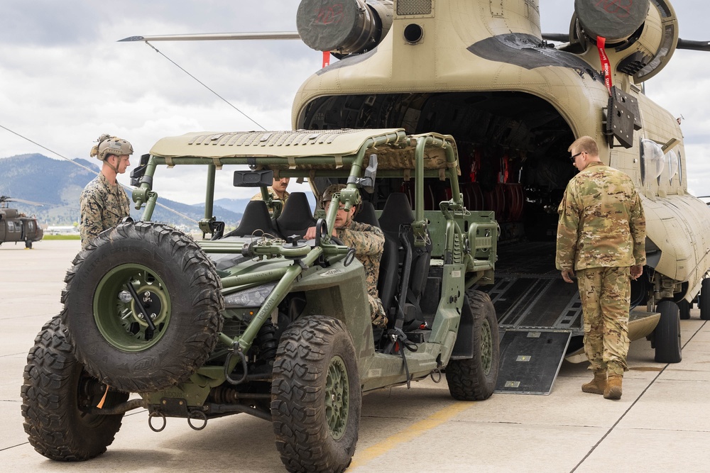 1st Recon Bn. employs ULTV for ground reconnaissance exercise