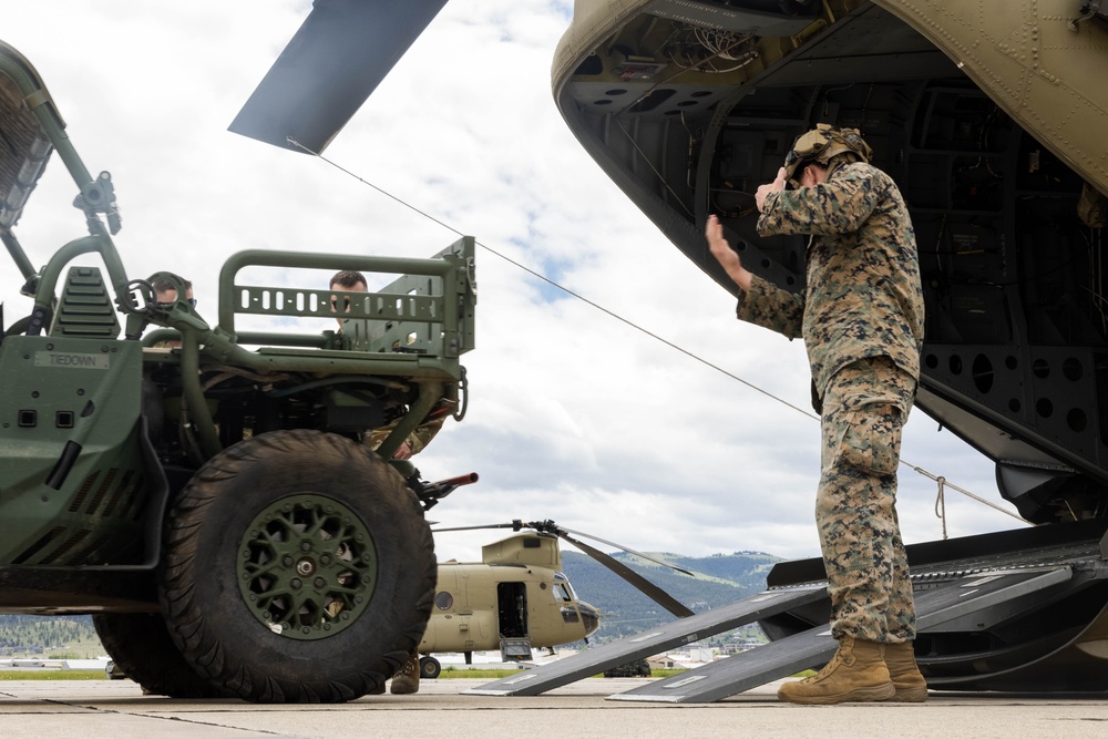 1st Recon Bn. employs ULTV for ground reconnaissance exercise