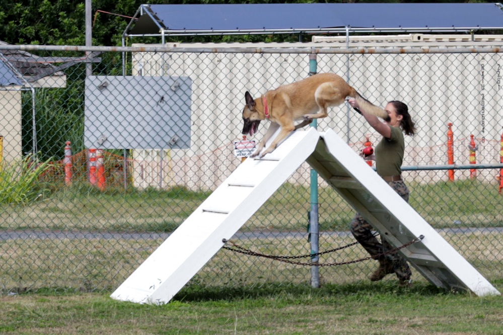 Cadets and Canines: SNCOA Hawaii conducts a three-day Leadership Symposium for Junior ROTC