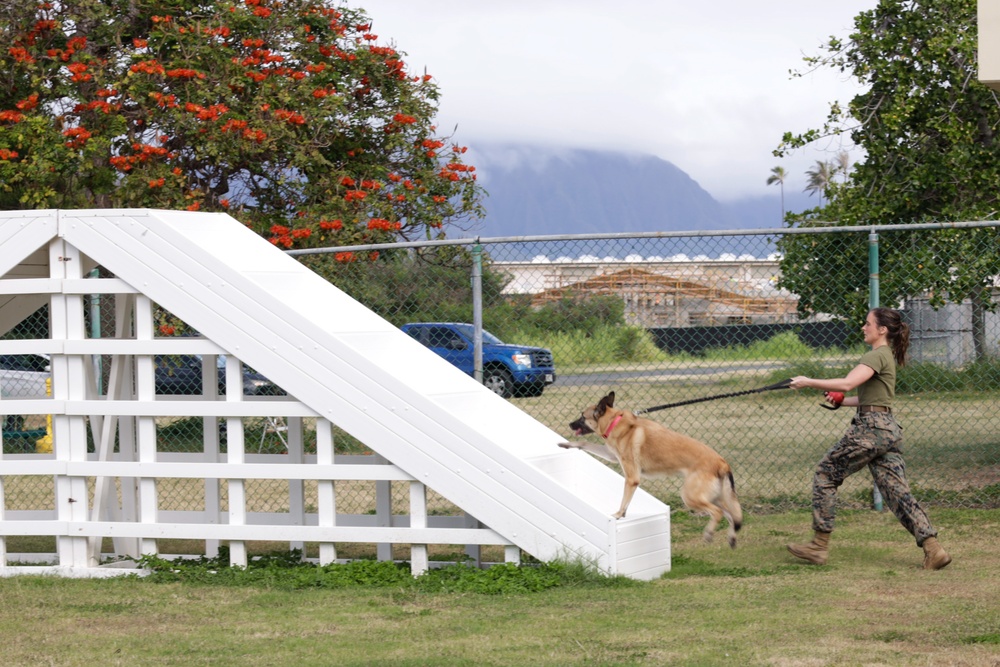 Cadets and Canines: SNCOA Hawaii conducts a three-day Leadership Symposium for Junior ROTC