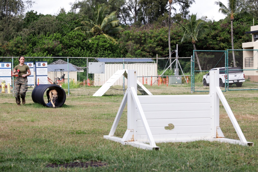 Cadets and Canines: SNCOA Hawaii conducts a three-day Leadership Symposium for Junior ROTC