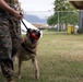 Cadets and Canines: SNCOA Hawaii conducts a three-day Leadership Symposium for Junior ROTC