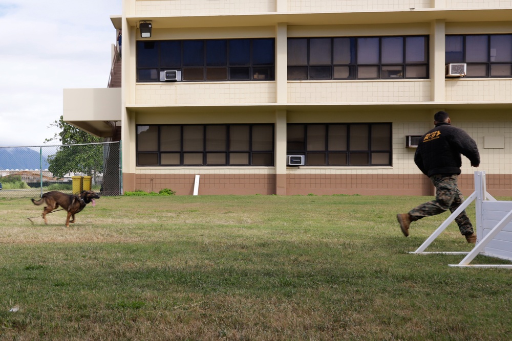 Cadets and Canines: SNCOA Hawaii conducts a three-day Leadership Symposium for Junior ROTC