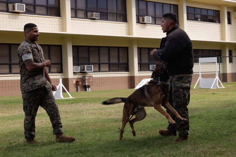 Cadets and Canines: SNCOA Hawaii conducts a three-day Leadership Symposium for Junior ROTC