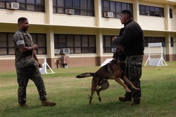 Cadets and Canines: SNCOA Hawaii conducts a three-day Leadership Symposium for Junior ROTC [Image 14 of 17]