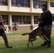 Cadets and Canines: SNCOA Hawaii conducts a three-day Leadership Symposium for Junior ROTC