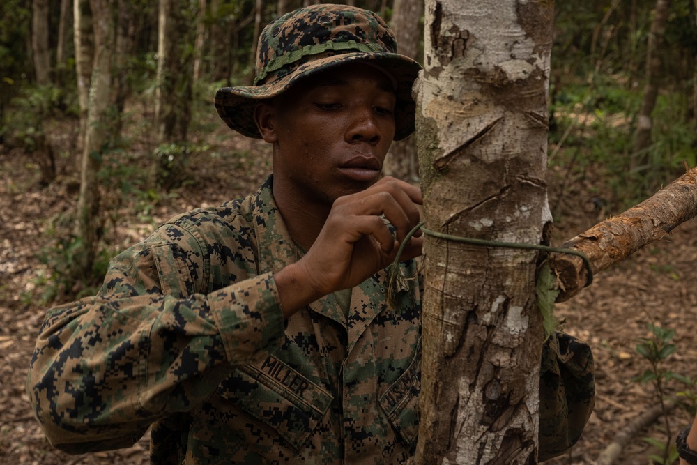 12th MLR Marines Increase Their Lethality in Harsh Jungle Environments during a Basic Jungle Skills Course