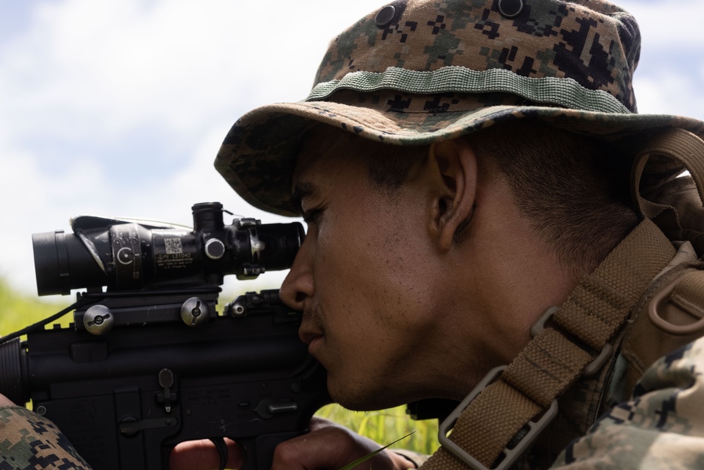 12th MLR Marines Increase Their Lethality in Harsh Jungle Environments during a Basic Jungle Skills Course