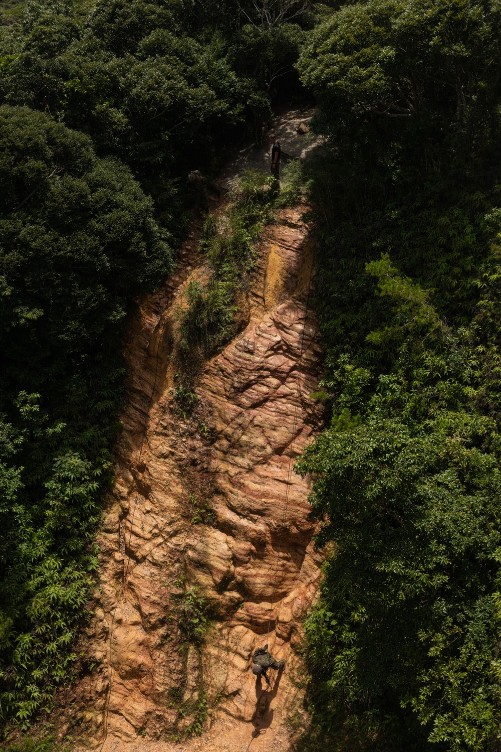 12th MLR Marines Increase Their Lethality in Harsh Jungle Environments during a Basic Jungle Skills Course