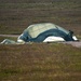 Sky Soldiers Conduct Airborne Ops