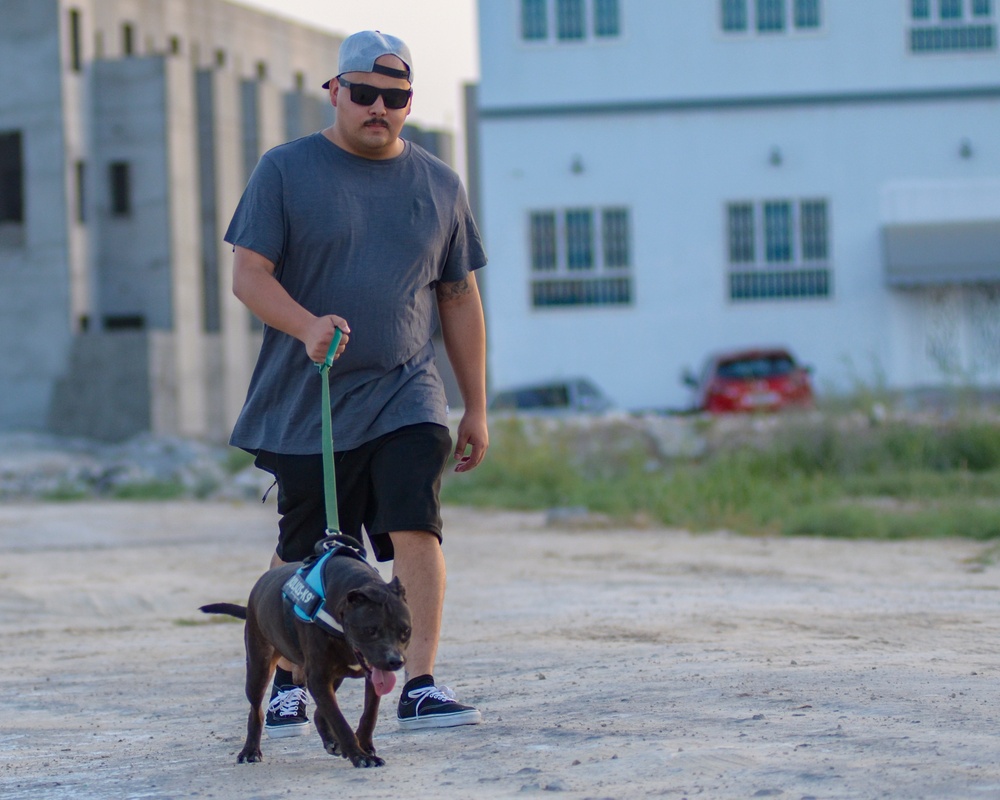 NSA Bahrain visits Bahrain Animal Rescue Centre