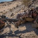 1/7 Marines awarded Service Member of the Quarter