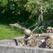Partners in readiness: Grenade familiarization