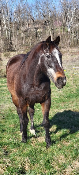 Axl posing for a photo