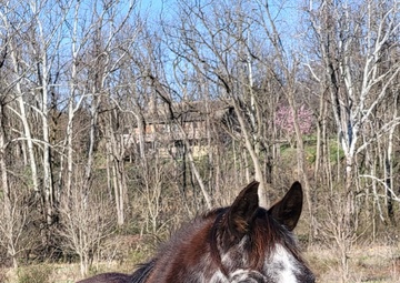 Axl posing for a photo