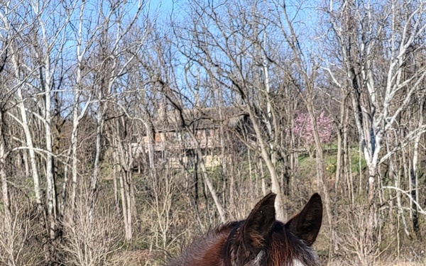 Axl posing for a photo