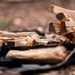 Survival, Evasion, Resistance, and Escape pre-team 25-A particpates in firecraft exercise