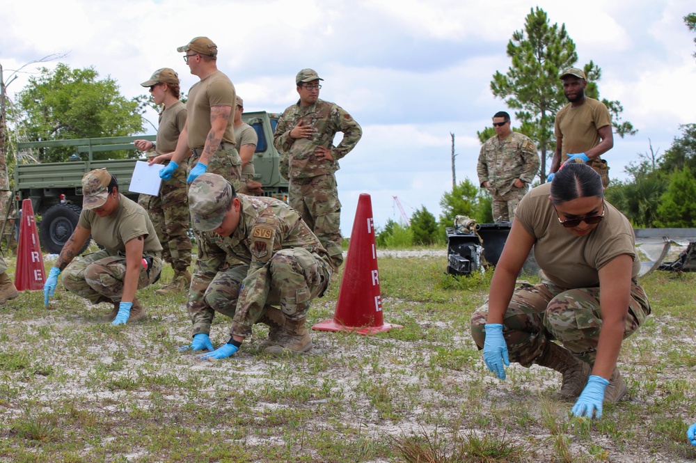 Force Support Contingency Training-Silver Flag beta tester Flag