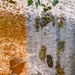Multiple Exposures in South Korea