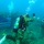 The Dive into Commitment: The Unconventional Reenlistment of Sgt. 1st Class Tomasich The Dive into Commitment: The Unconventional Reenlistment of Sgt. 1st Class Tomasich