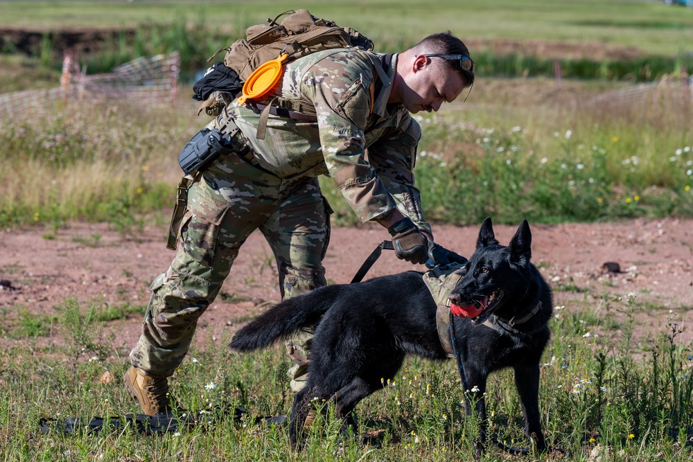 52nd SFS hosts international training for military working dog handlers