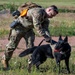 52nd SFS hosts international training for military working dog handlers