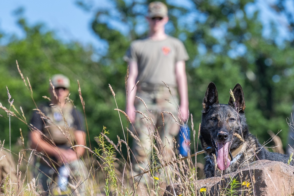 52nd SFS hosts international training for military working dog handlers