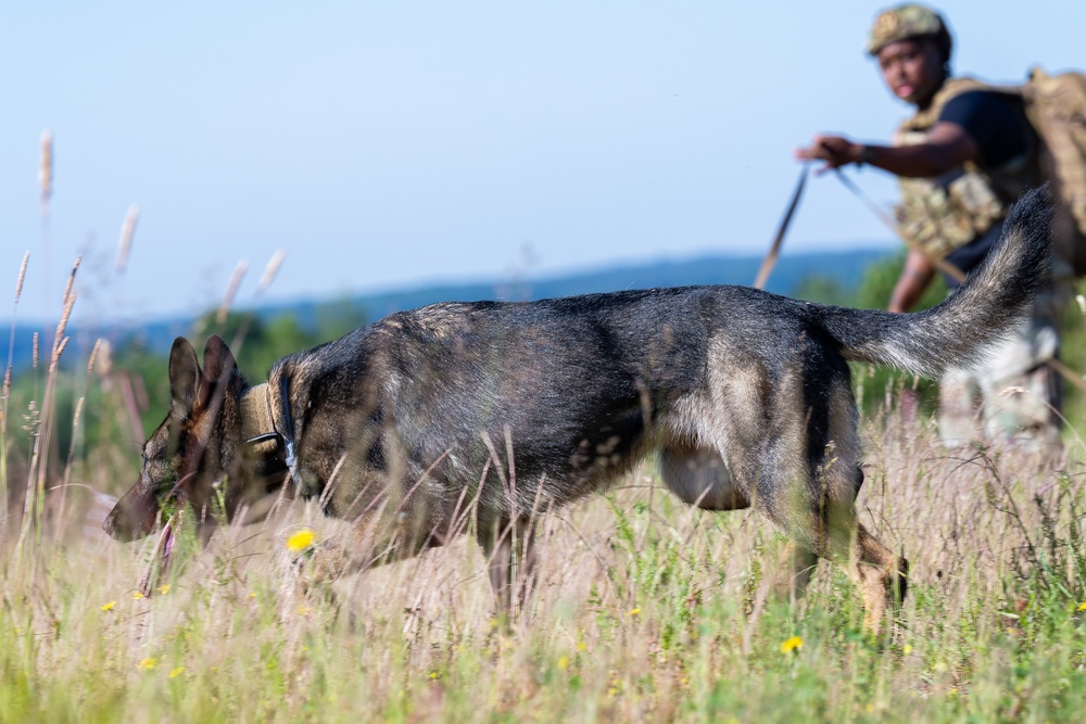 52nd SFS hosts international training for military working dog handlers