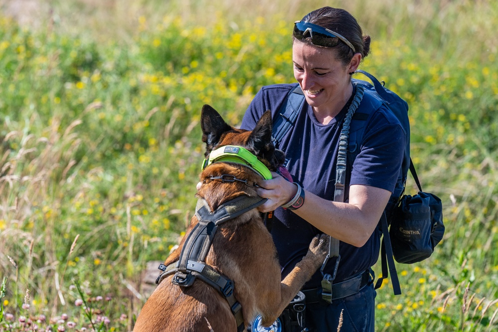 52nd SFS hosts international training for military working dog handlers