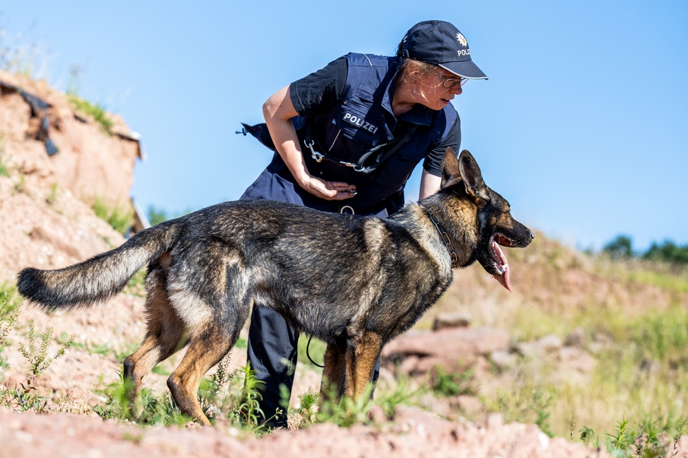 52nd SFS hosts international training for military working dog handlers