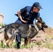 52nd SFS hosts international training for military working dog handlers