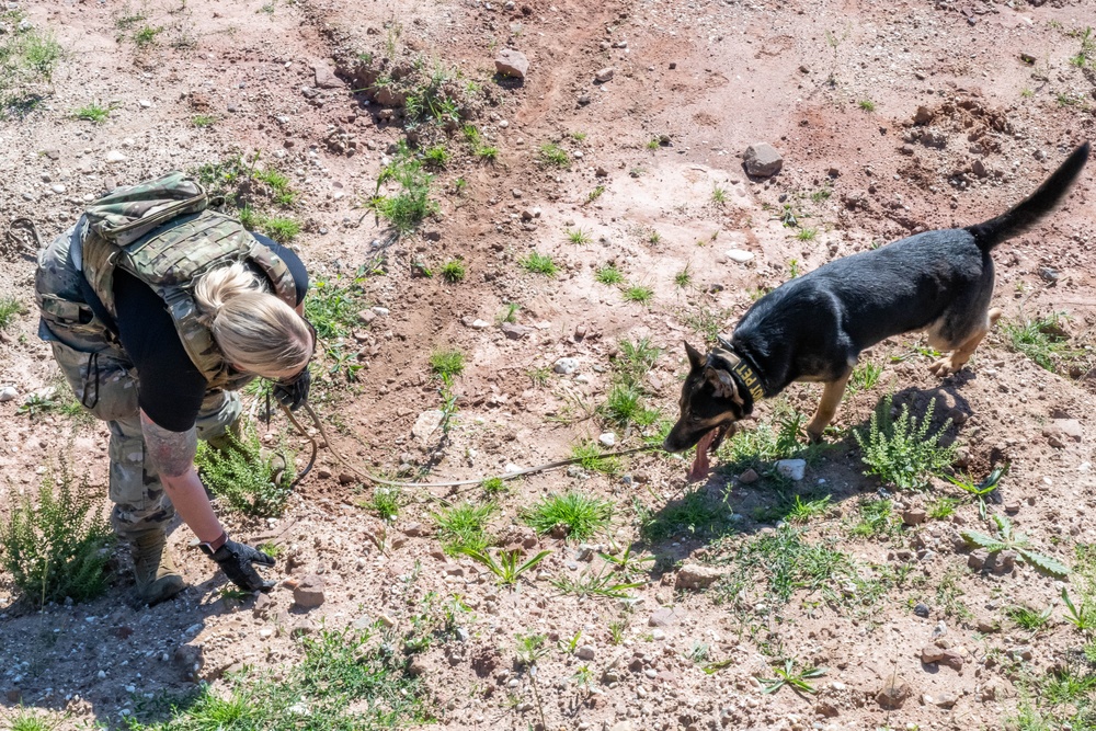 52nd SFS hosts international training for military working dog handlers