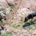 52nd SFS hosts international training for military working dog handlers