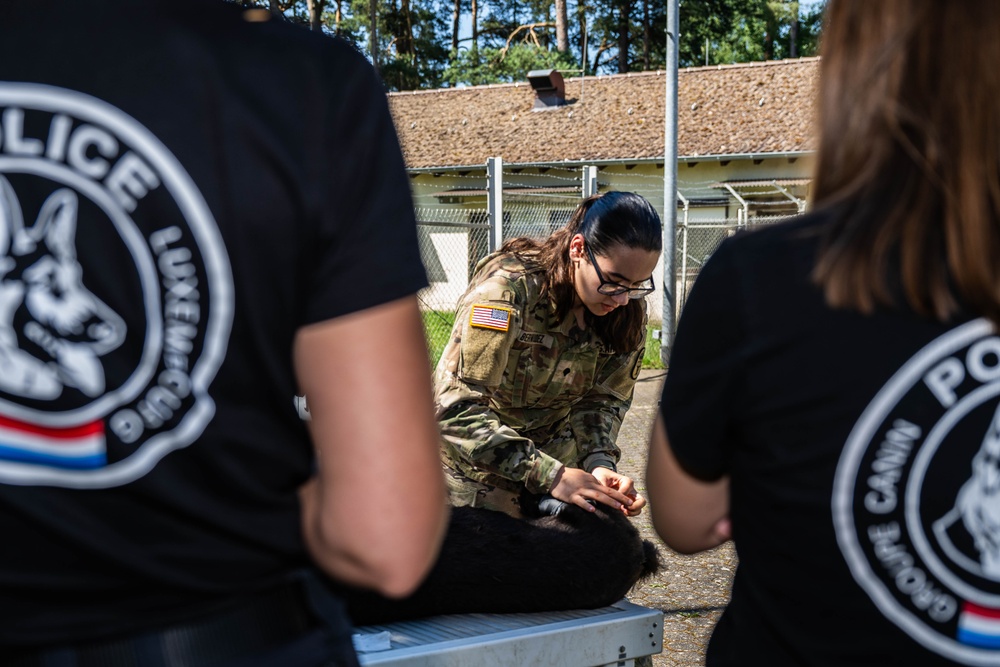 52nd SFS hosts international training for military working dog handlers