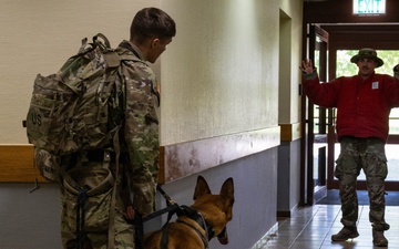 52nd SFS hosts international training for military working dog handlers