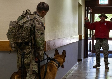 52nd SFS hosts international training for military working dog handlers