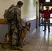 52nd SFS hosts international training for military working dog handlers