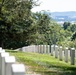 Summer at Arlington National Cemetery 2024