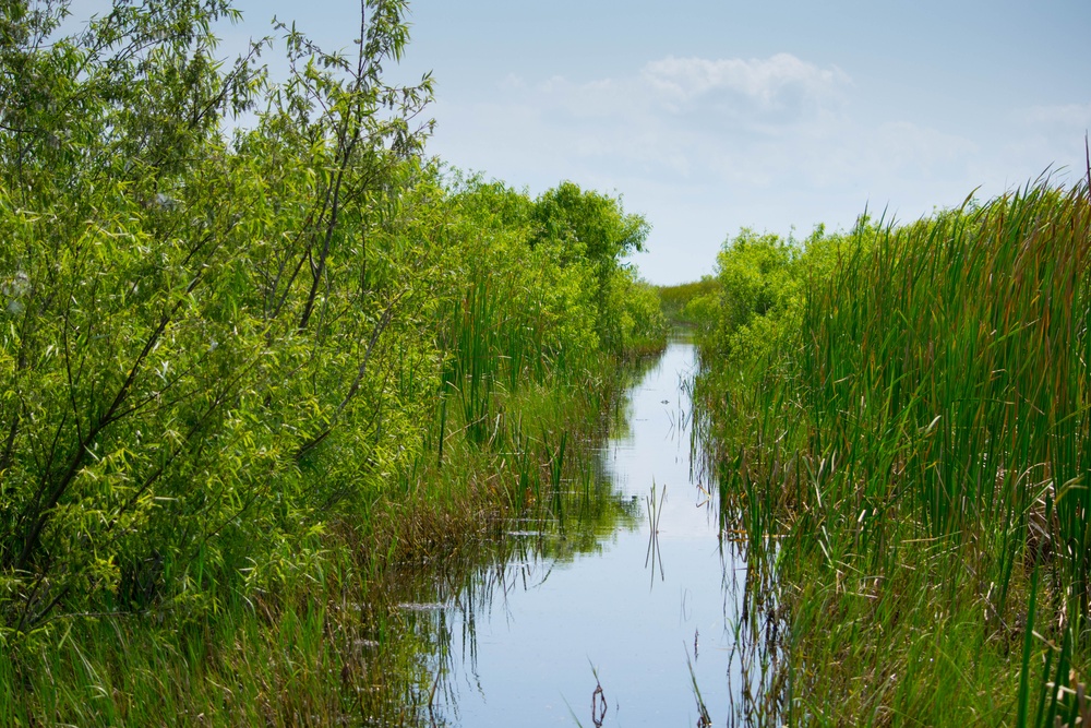 Driving down an airboat trail on Lake Okeechobee