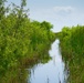 Driving down an airboat trail on Lake Okeechobee