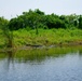 Alligator Sunbathing on the shores of Lake Okeechobee