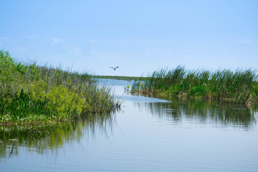 Driving down an airboat trail on Lake Okeechobee