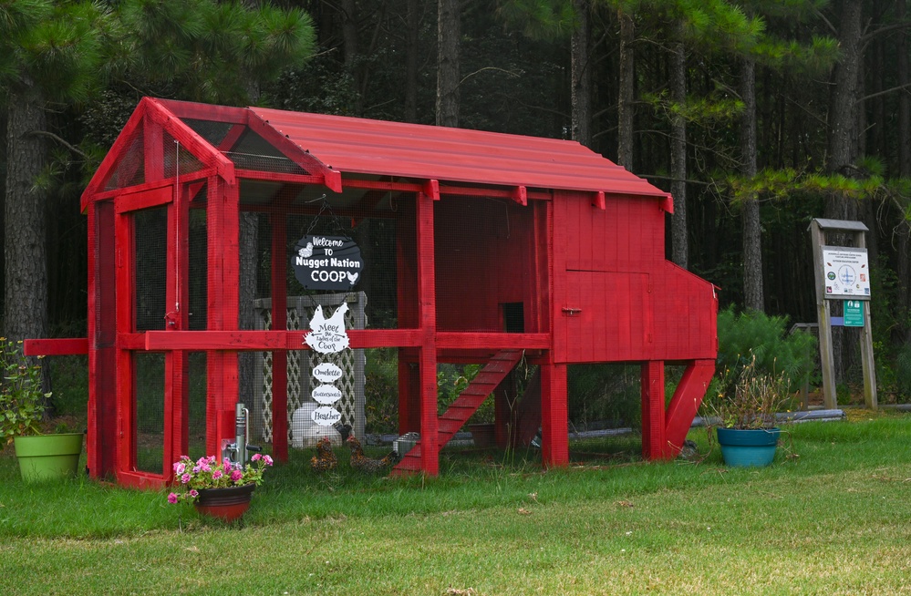 19th MXG crafts chicken coop for on-base school