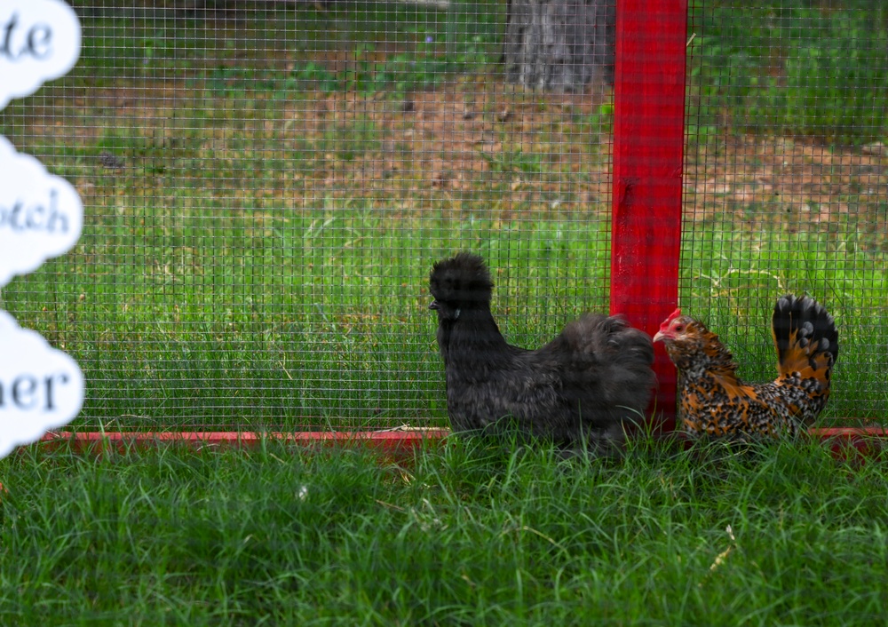 19th MXG crafts chicken coop for on-base school