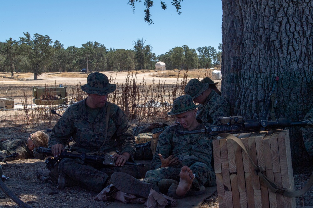 821 CRS Road To Alert: Hellhounds showcase readiness during Exercise Storm Crow