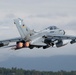 GAF Air Chief, NORAD/11th Air Force commander project air dominance in PA-200 Tornado, F-22 Raptor during Pacific Skies 24